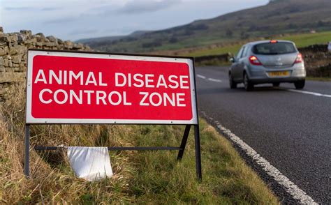 UK Backpedals On Its Own Poultry Vaccination Ban Amid Bird Flu Crisis