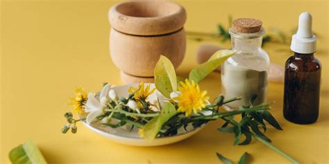 Allopathic vs Homeopathic: The Eternal Fight for Your Heart | The ...