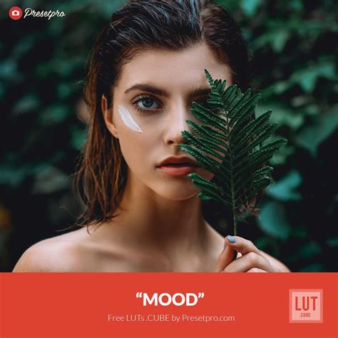 Free LUTs "Mood" Color Grading for Filmmakers and Photographers