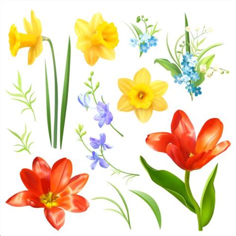 Various spring flower vector free download