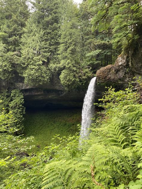 SILVER FALLS STATE PARK – A NUMBER TWO CONTENDER – Wonder Where Now?