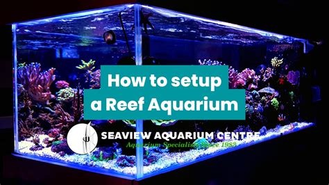 How to setup a Reef Aquarium