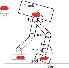 Applications of IMU in Humanoid Robot | SpringerLink