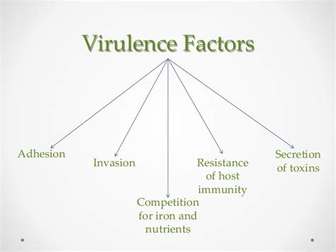 Bacterial virulence factors