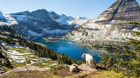 Utah teen killed by falling rocks during family vacation at Glacier National Park - ABC News