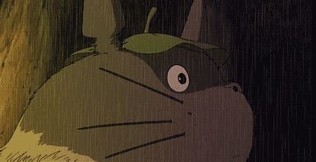 totoro gif on Tumblr