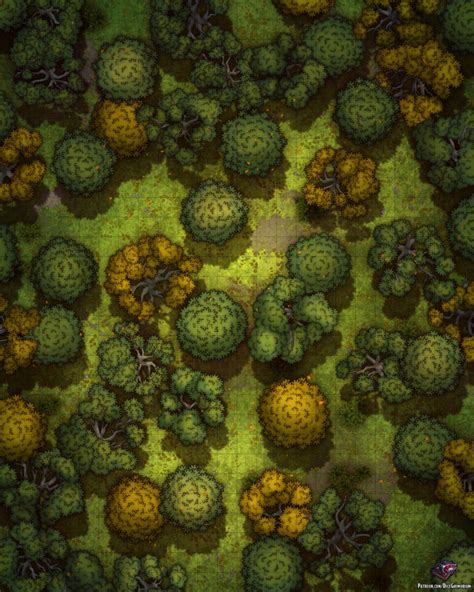 Forest Wilderness Vol. 3 - D&D Map for Roll20 And Tabletop - Dice Grimorium