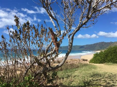 Makaha Beach Park (Waianae) - 2020 All You Need to Know BEFORE You Go (with Photos) - Tripadvisor