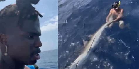 PETA slams NFL agent Drew Rosenhaus for wresting shark on video - Total ...