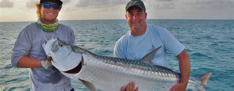 Florida Keys Tarpon Fishing | Marathon | Islamorada