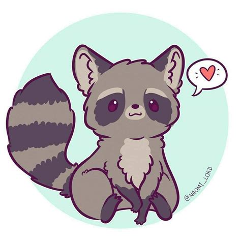 Mapache kawaii | Wiki | •Anime• Amino