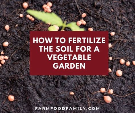 How to Fertilize the Soil for a Vegetable Garden - FarmFoodFamily