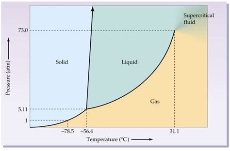 During a phase change, what happens to the temperature of a substance ...