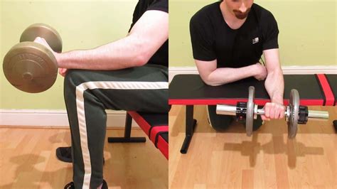 Forearm Extensor Strengthening Exercises (Top 5)