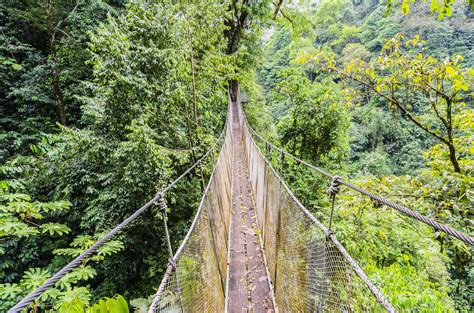 Costa Rica, Jungle, suspension bridge stock photo