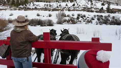 Colorado Sleigh Rides | Horse-Drawn Sleighs and Wagons