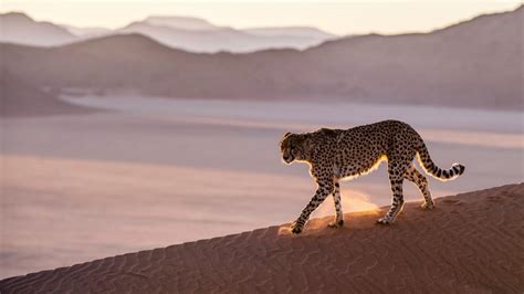 Deserto do Namibe na lista dos lugares a visitar em 2023