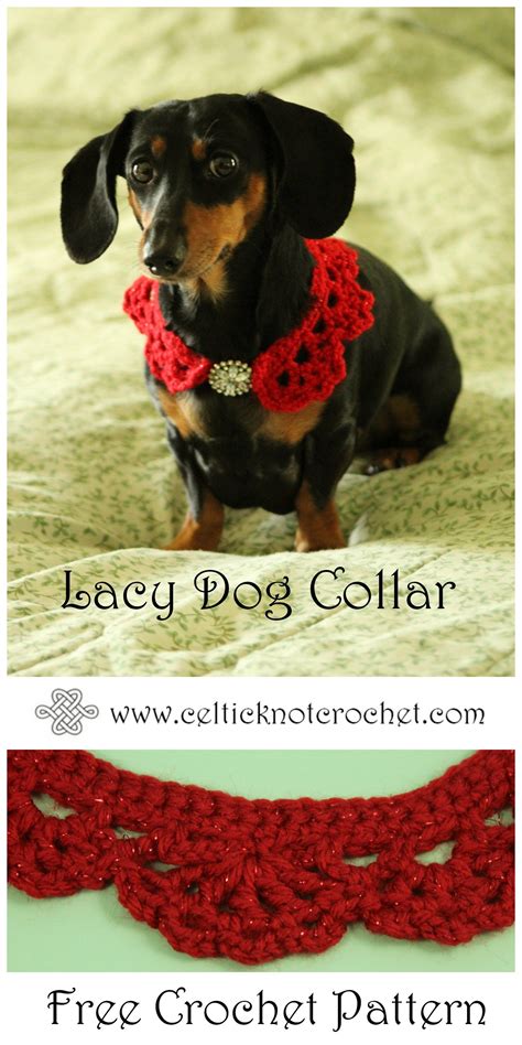 Lacy Dog Collar - Celtic Knot Crochet | Crochet dog clothes, Dog collar pattern, Dog sweaters