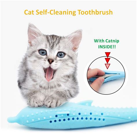 Cat Self-Cleaning Toothbrush - With Catnip INSIDE | Newborn kittens, Cats, Teeth cleaning