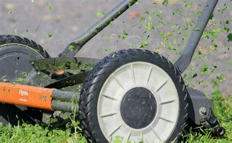 Free Images : nature, sharp, technology, meadow, wheel, fly, green, vehicle, soil, juicy, knife ...