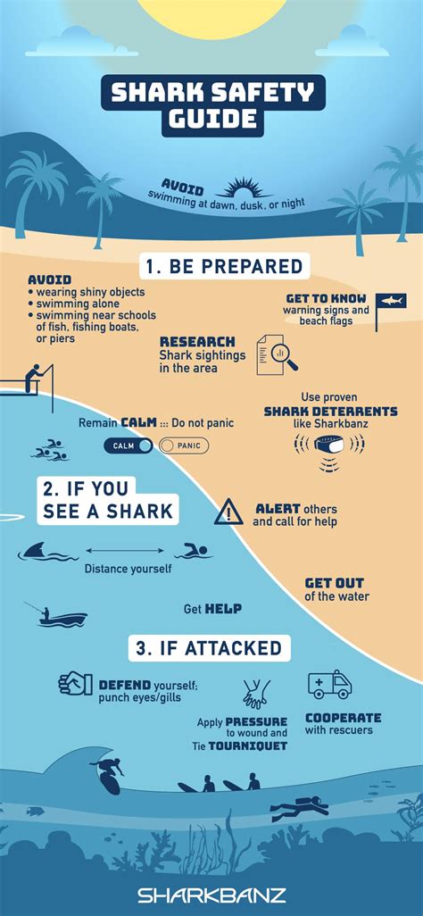 How to Avoid a Shark Attack - Shark Safety Guide