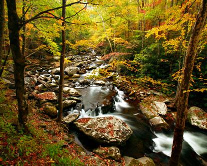 Appalachian Trail Hikes - Appalachian Trail NC Guide