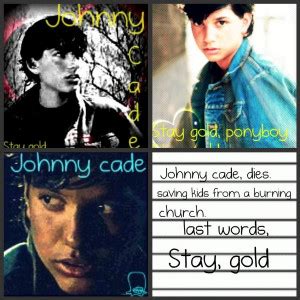 Johnny Cade Quotes. QuotesGram