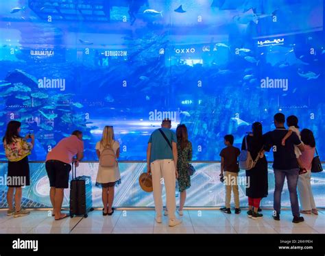 Dubai aquarium mall hi-res stock photography and images - Alamy