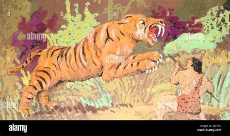 Illustration of a sabre tooth tiger with a cave man Stock Photo - Alamy