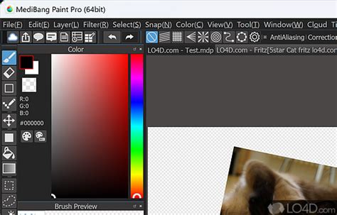 MediBang Paint Pro - Download