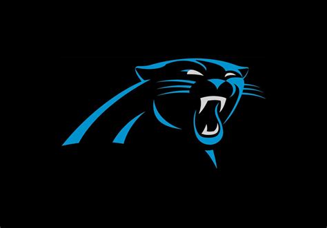Carolina Panthers Logo Design – History, Meaning and Evolution | Turbologo
