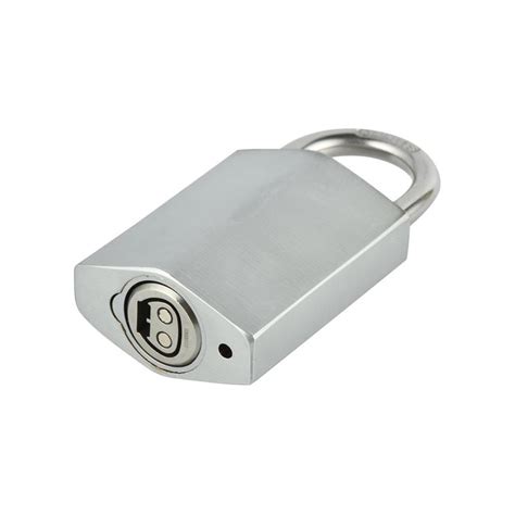 Mini Smart Padlock With Key - Ningbo Rayonics Technology Co., Ltd.