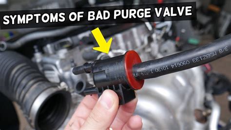 Evap Purge Valve Function