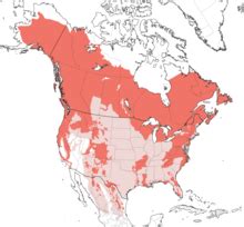 Black Bear Habitat Map