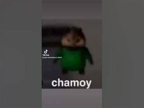 Chamoy meme el video no es robado es de mi cuenta de tiktok - YouTube