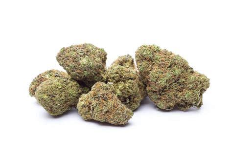 Bacio Weed Strain Review & Information | CTU