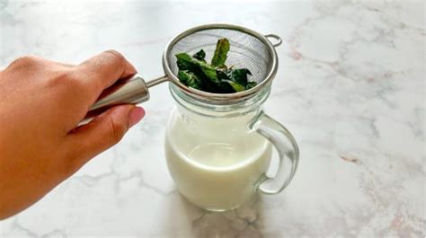 Milk and mint: the recipe for a regenerating drink perfect for summer