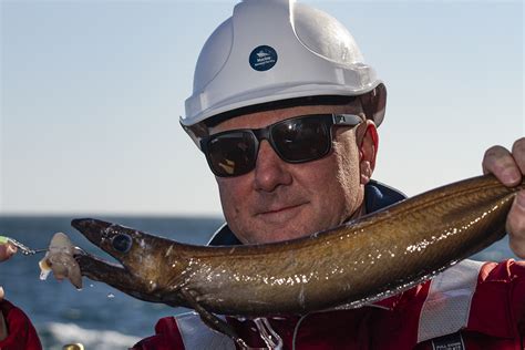 Reely deep fishing on a unique gathering of eels | MARINE BIODIVERSITY HUB