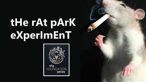 THE FOUNDATION SERIES | The Rat Park Experiment - YouTube