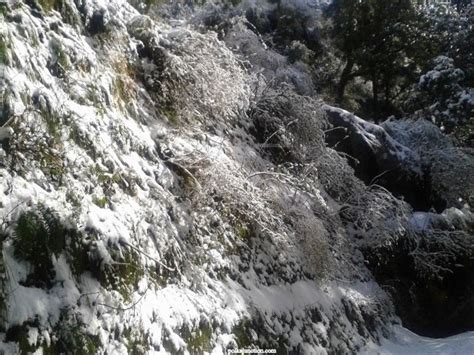 Dalhousie Snowfall : Memories of The White Carpet in 30 photos