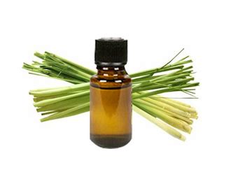 Buy 100% pure & natural Lemongrass oil at discounted price!