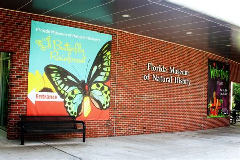 Florida Museum of Natural History - Precision Glass