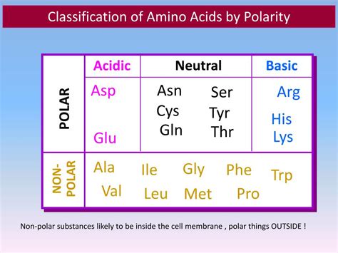 PPT - Amino acid and Protein Chemistry PowerPoint Presentation, free download - ID:2746856