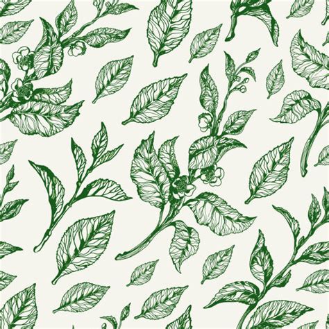 4,100+ Tea Leaf Pattern Stock Illustrations, Royalty-Free Vector Graphics & Clip Art - iStock