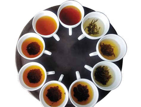 Sips From Sri Lanka: The Making Of Ceylonese Tea | Forbes India