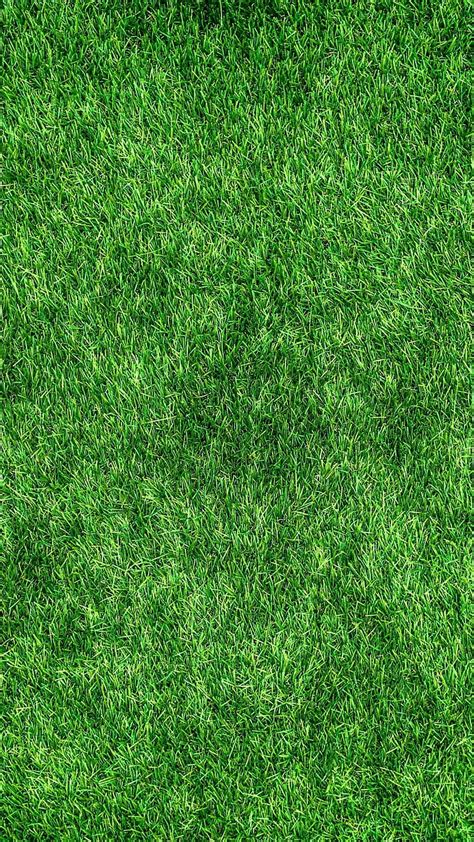 97 Background Green Grass Images - MyWeb