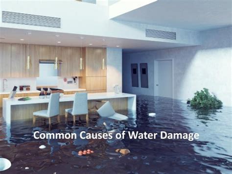 Common Causes of Water Damage