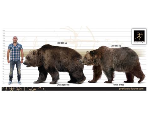 Cave bear and Сave lion image buy Uchytel