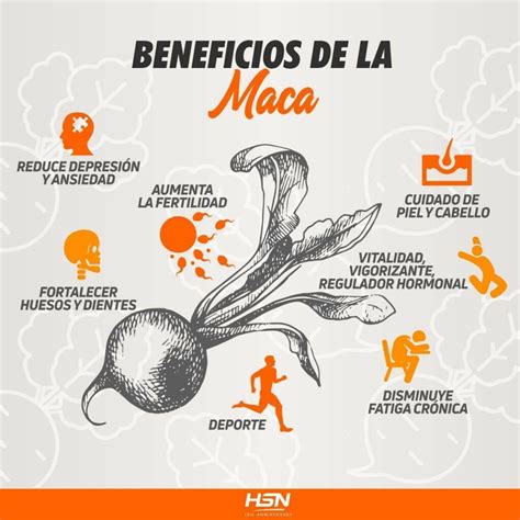 Maca Andina: Descúbrela a Fondo - HSN