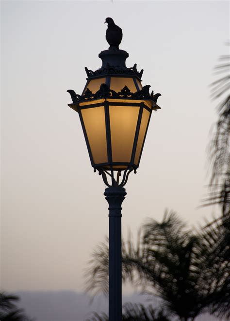 File:Tenerife lamp post C.jpg - Wikimedia Commons